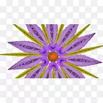 数码艺术.紫色雏菊
