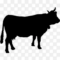 安格斯牛肉牛轮廓