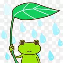 树蛙叶夹艺术-青蛙