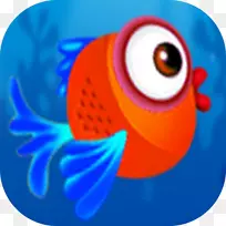 鸟嘴金刚鹦鹉海洋生物桌面壁纸-拖鞋亚马逊