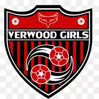 韦伍德女子足球俱乐部女足协会足球队-足球