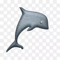 普通宽吻海豚猫科动物-潜水