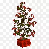 花盆小花花瓶植物-3花红