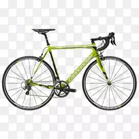 巨型自行车巨人Glenelg Lygon自行车-巨型赛车-城市道路