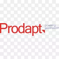 Prodapt解决方案标识品牌私企经营的形象