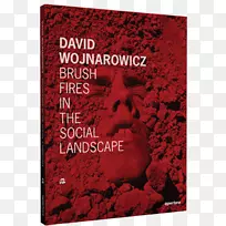 david wojnarowicz：社会风景画中的画火，摄影，野火，国际流行绘画