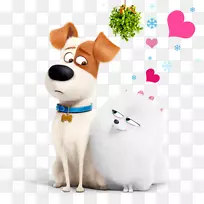 杰克罗素猎犬马克斯吉德盖特宠物的秘密生活最大的秘密生活