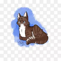 胡须，猫，狗，犬科-小猫