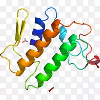 磷脂酶a2有机体剪贴画磷脂酶a2