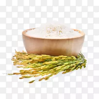 糙米、水稻、白米、谷类-大米