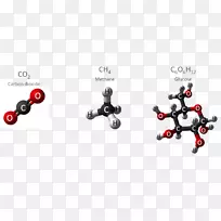 生物载脂蛋白e化合物碳化学化合物-化合物