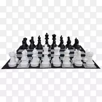 棋盘棋王棋