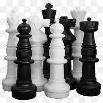 棋子吃水王棋-国际象棋