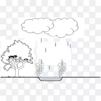 木质部韧皮部绘画-树