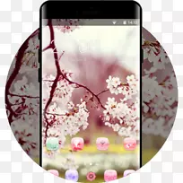 桌面壁纸电脑高清电视主题iphone 7-花卉分公司