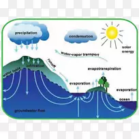水循环工作表海洋氮循环-水