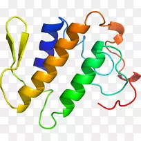磷脂酶a2剪贴画磷脂酶a2