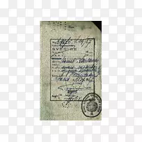 纸质正式护照