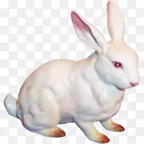 国内兔子复活节兔子雪鞋兔瓷兔