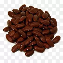 牙买加蓝山咖啡可可豆商品可可树菜豆
