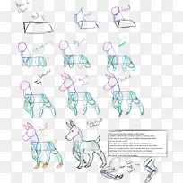 犬科线画素描-巴尔迪的基本艺术