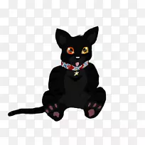 黑猫家养短毛猫须-小猫