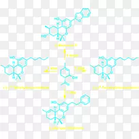 直线点角线