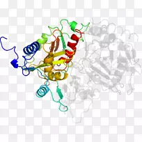 线点生物剪贴画线