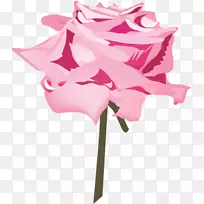切花花卉设计玫瑰科植物茎玫瑰