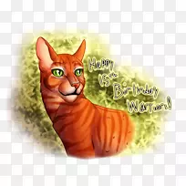 猫须猫小猫艺术-15岁生日