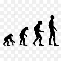 人类进化2.0：打破达尔文和设计智人之间的僵局
