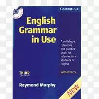 英语语法在使用中必要的语法在使用补充练习与关键的霍顿米夫林英语书