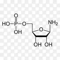 磷酸焦磷酸磷核糖-磷酸二磷酸激酶
