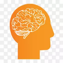 人类大脑科林斯实验室计算机图标神经系统的发展-大脑