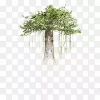 虚拟现实树htc活力浸没树干-热带雨林树