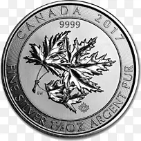 加拿大银枫叶金枫叶盎司-银币
