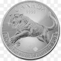 加拿大金银枫叶皇家加拿大薄荷-银币