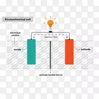 阳极阴极电化学电池