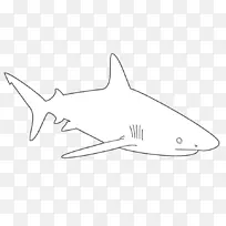 大白鲨模板蓝鲨鳍-大白鲨模板
