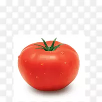 李子番茄灌木番茄食物种子全果
