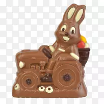 麻风病巧克力模特儿复活节兔