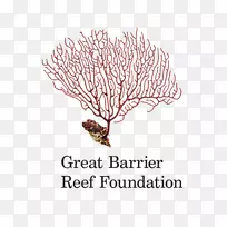 雷恩岛大堡礁珊瑚礁组织-海礁