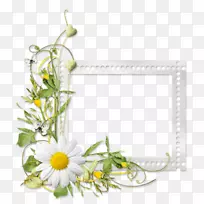 画框花卉设计花丛框架