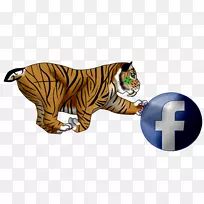 老虎大型猫科动物陆生动物-老虎