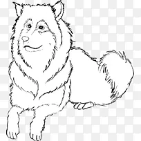 胡须犬繁殖猫鼻犬