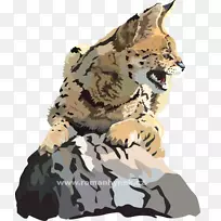 猎豹大猫虎动物群