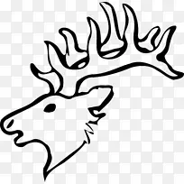 白尾鹿画驯鹿夹艺术鹿头骨