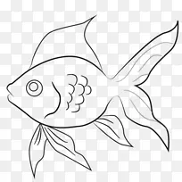 绘制USMLE步骤3线艺术金鱼剪贴画-蝴蝶金鱼