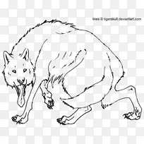 胡须红狐狗画野兔狼头骨