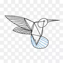 蜂鸟画线艺术绘画剪贴画